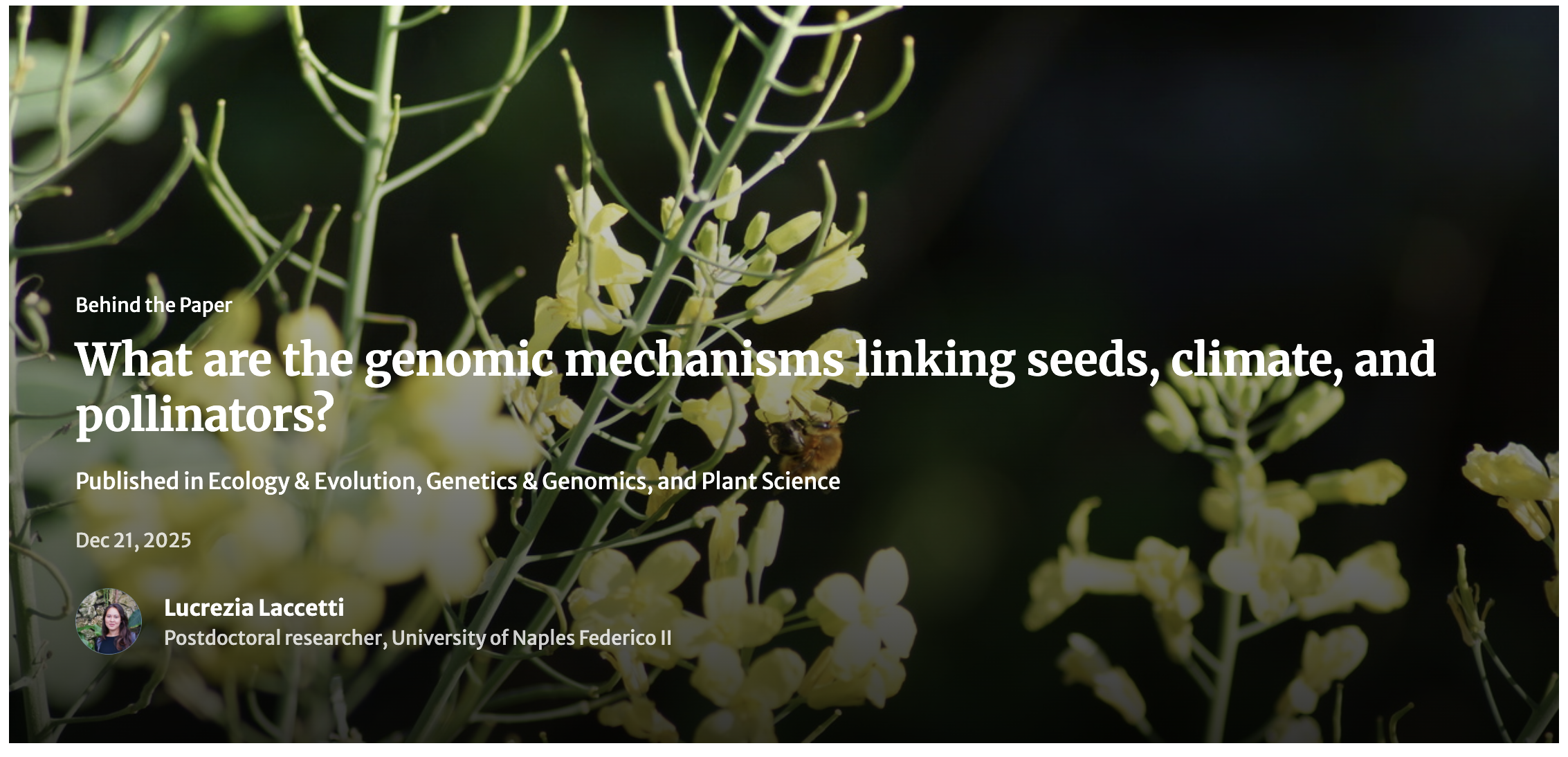 Behind the Paper article on Springer Nature Communities