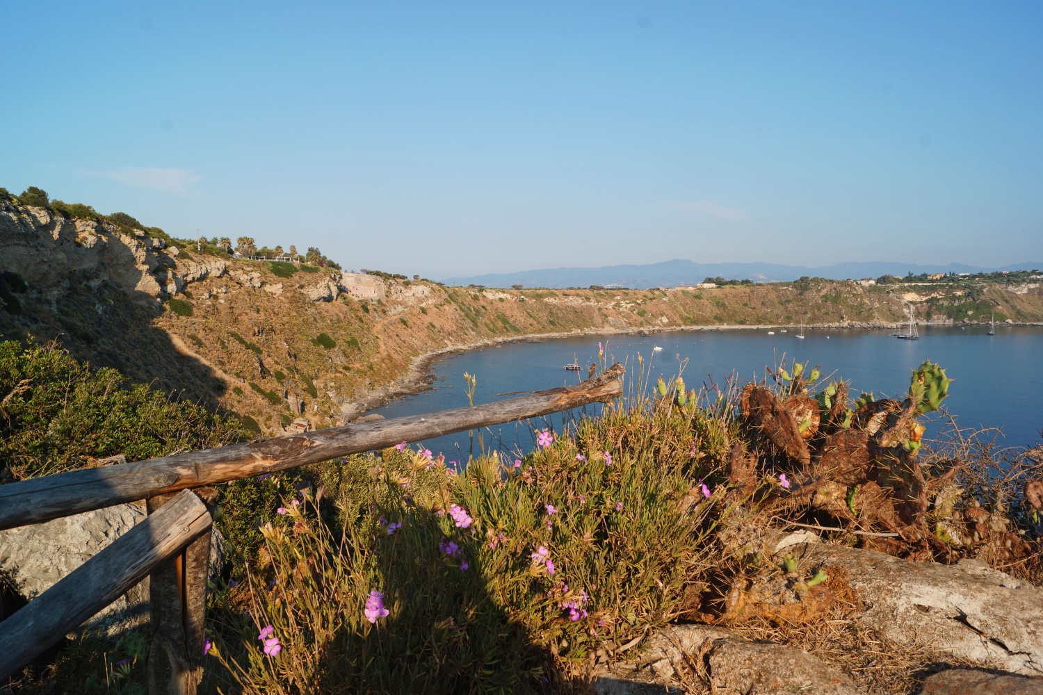 A Mediterranean coastal cliff with Dianthus flowers in the foreground